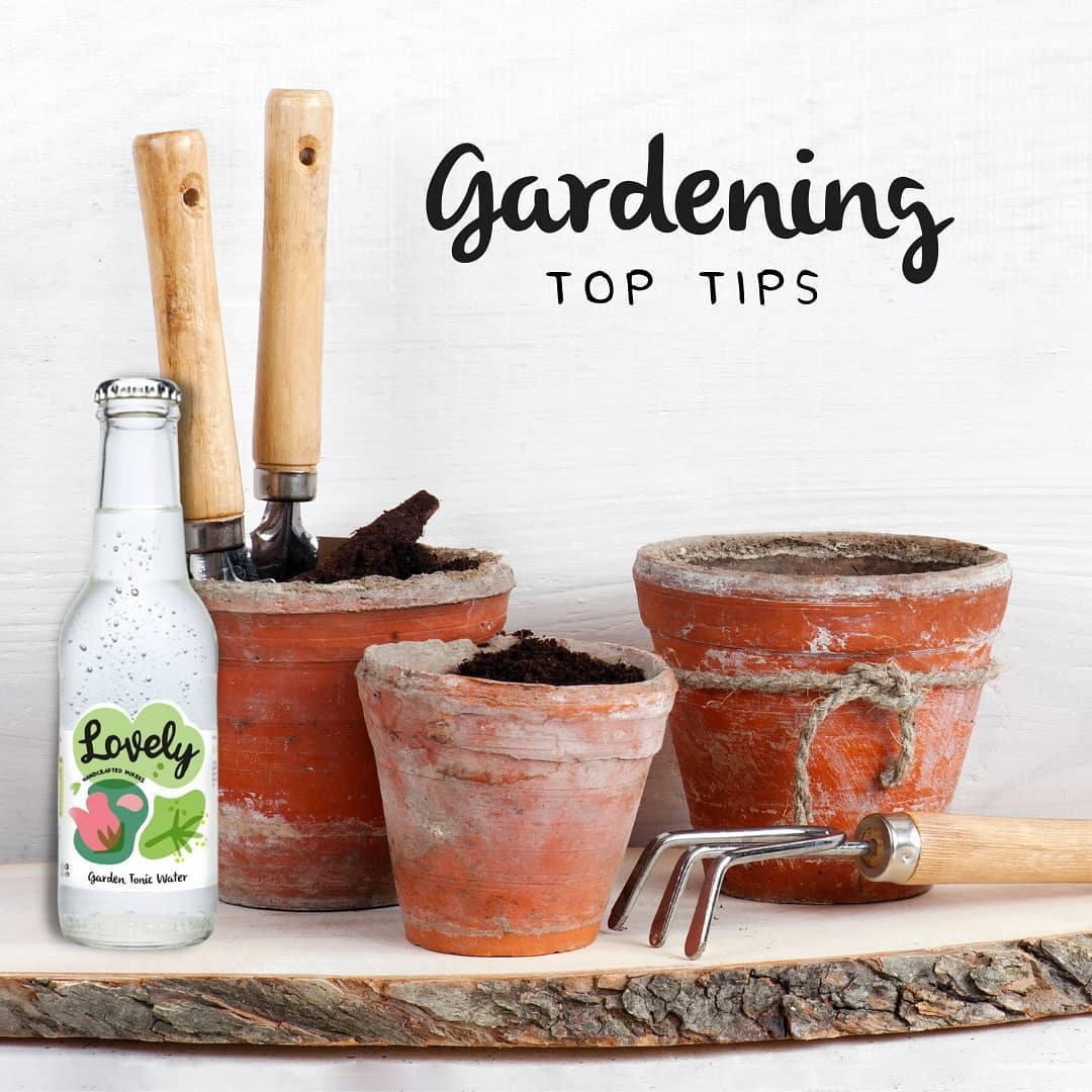 Garden Tonic Water